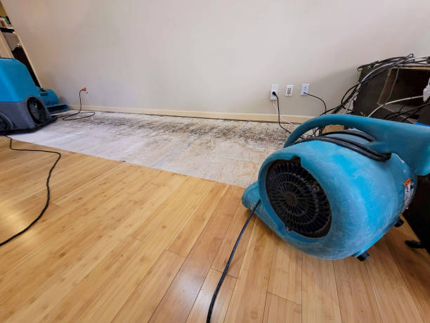 Professional Basement Flood Cleanup technician working in Kamuela, HI